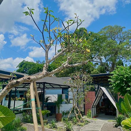 The Jungle Hostel Canggu מראה חיצוני תמונה