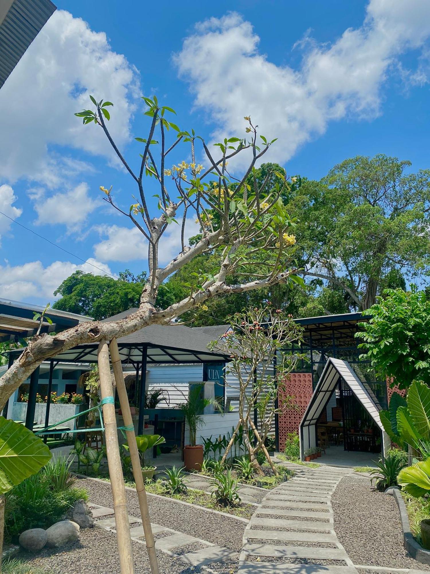 The Jungle Hostel Canggu מראה חיצוני תמונה