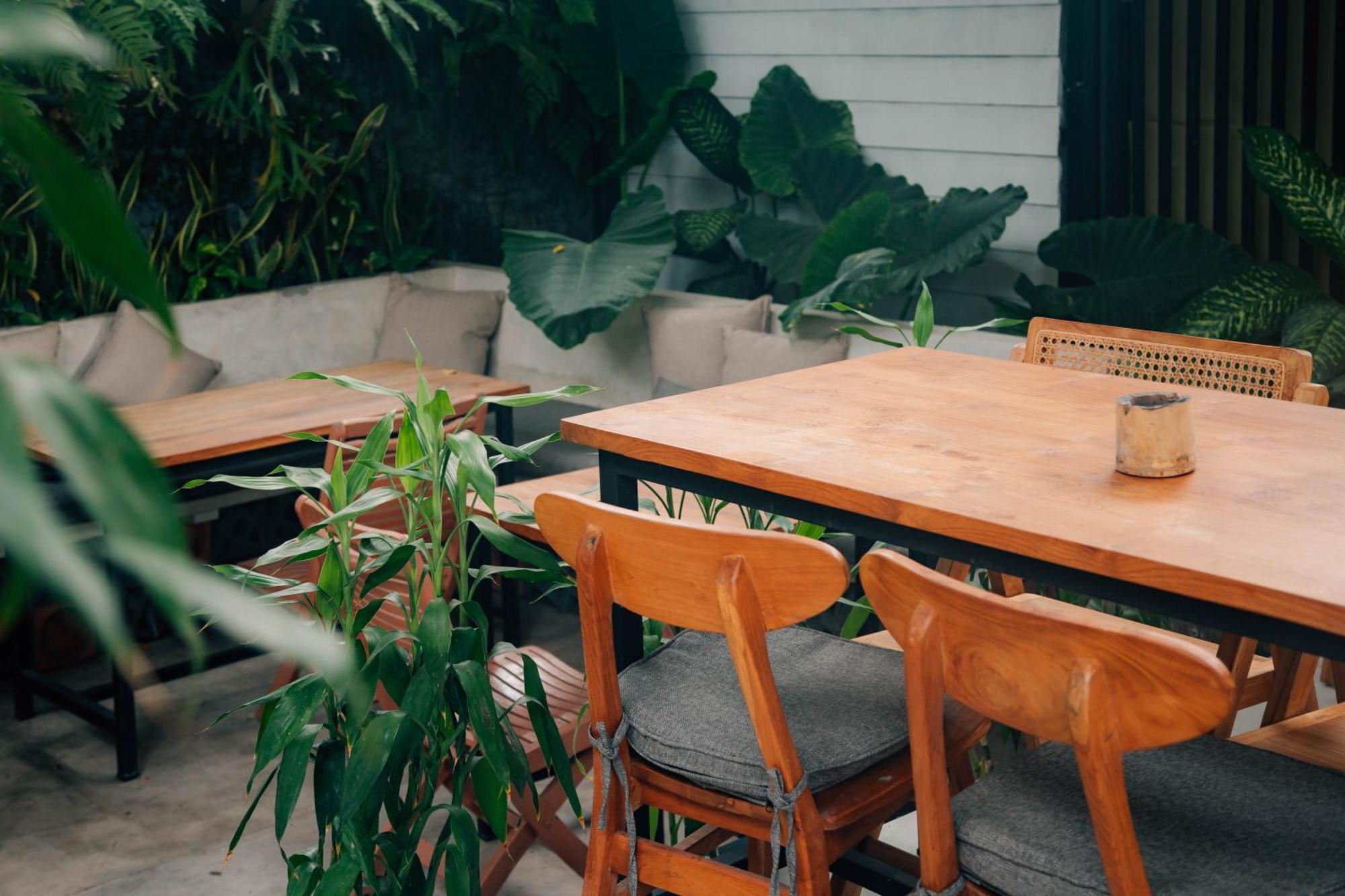 The Jungle Hostel Canggu מראה חיצוני תמונה