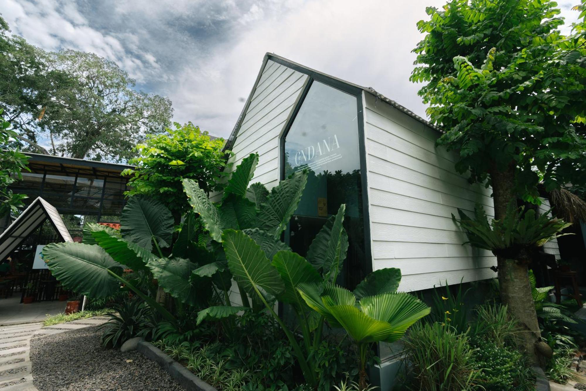 The Jungle Hostel Canggu מראה חיצוני תמונה