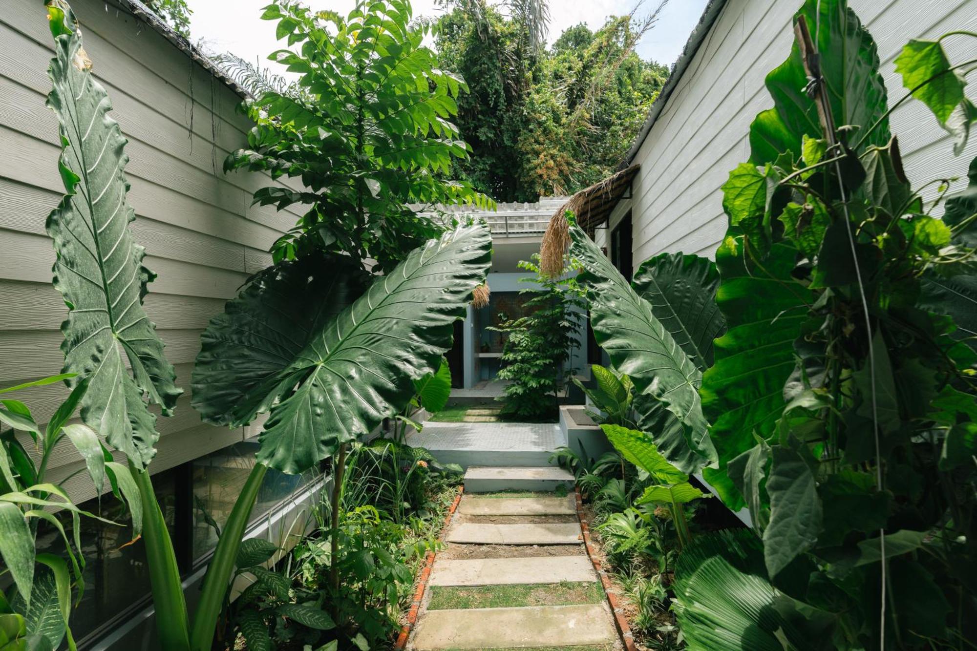 The Jungle Hostel Canggu מראה חיצוני תמונה